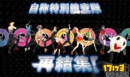 狂欢之夜爆料视频,视频爆料背后的精彩瞬间