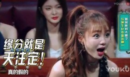 刘维爆料录音视频大全下载,揭秘娱乐圈幕后真相